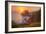 Setting Sun at Trinidad, Northern California Coast-Vincent James-Framed Photographic Print