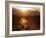 Setting Sun on Avenida Boulevard, Albuquerque, New Mexico, United States of America, North America-Richard Cummins-Framed Photographic Print