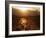 Setting Sun on Avenida Boulevard, Albuquerque, New Mexico, United States of America, North America-Richard Cummins-Framed Photographic Print