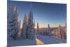 Setting sun through forest of snow ghosts at Whitefish, Montana, USA-Chuck Haney-Mounted Premium Photographic Print