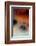 Setting sun-Angela Marsh-Framed Photographic Print