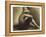 Seurat: Seated Boy, 1883-4-Georges Seurat-Framed Premier Image Canvas