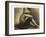 Seurat: Seated Boy, 1883-4-Georges Seurat-Framed Giclee Print