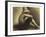 Seurat: Seated Boy, 1883-4-Georges Seurat-Framed Giclee Print