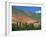 Seven Colours Mountain at Purmamaca Near Tilcara in Argentina, South America-Murray Louise-Framed Photographic Print