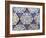 Seven Iznik Blue and White Hexagonal Pottery Tiles, circa 1540-null-Framed Giclee Print