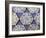 Seven Iznik Blue and White Hexagonal Pottery Tiles, circa 1540-null-Framed Giclee Print