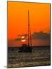 Seven Mile Beach, Grand Cayman. Sailboat on the Carribean at sunset.-Jolly Sienda-Mounted Photographic Print