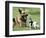 Seven-Month-Old, 6-Pound Midge-null-Framed Photographic Print