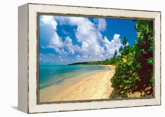 Seven Seas Beach, Fajardo, Puerto Rico-George Oze-Framed Premier Image Canvas
