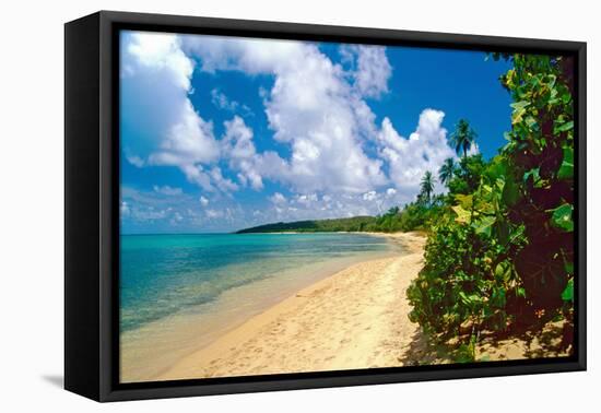 Seven Seas Beach, Fajardo, Puerto Rico-George Oze-Framed Premier Image Canvas