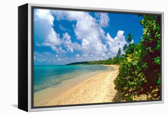 Seven Seas Beach, Fajardo, Puerto Rico-George Oze-Framed Premier Image Canvas