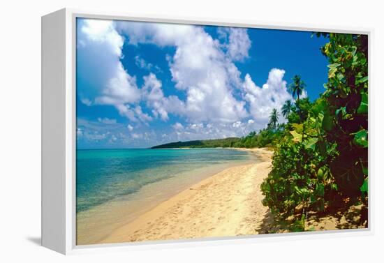 Seven Seas Beach, Fajardo, Puerto Rico-George Oze-Framed Premier Image Canvas