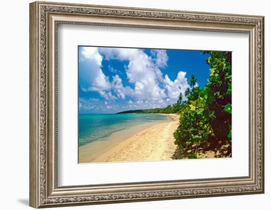 Seven Seas Beach, Fajardo, Puerto Rico-George Oze-Framed Photographic Print