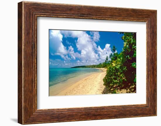 Seven Seas Beach, Fajardo, Puerto Rico-George Oze-Framed Photographic Print