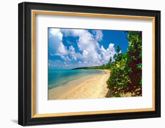 Seven Seas Beach, Fajardo, Puerto Rico-George Oze-Framed Photographic Print