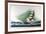 Seven Seas-Wayne Cooper-Framed Collectable Print