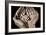 Seven Weeks-Dale O?Dell-Framed Photographic Print