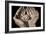 Seven Weeks-Dale O?Dell-Framed Photographic Print