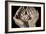 Seven Weeks-Dale O?Dell-Framed Photographic Print