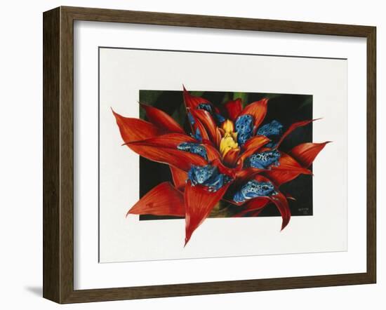 Sevens-Barbara Keith-Framed Giclee Print