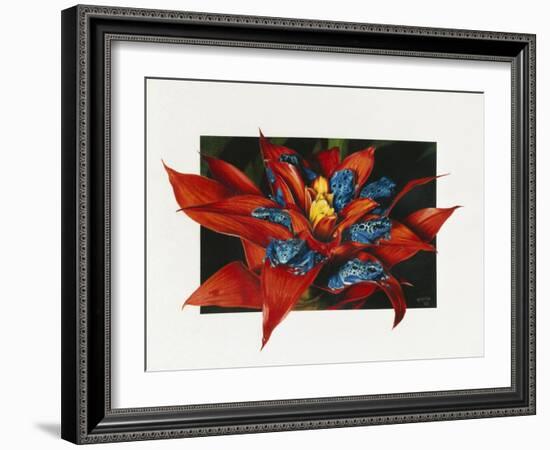 Sevens-Barbara Keith-Framed Giclee Print