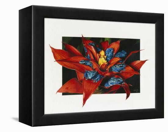 Sevens-Barbara Keith-Framed Premier Image Canvas