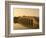 Seventeen Arch Bridge on Kunming Lake in Beijing-Xiaoyang Liu-Framed Photographic Print