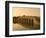 Seventeen Arch Bridge on Kunming Lake in Beijing-Xiaoyang Liu-Framed Photographic Print