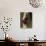 Seventeen Year Cicada, Pennsylvania, USA-David Northcott-Photographic Print displayed on a wall