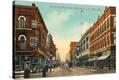 Stretched Canvas Print