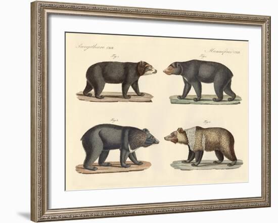 Several Bears Found-null-Framed Giclee Print