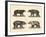 Several Bears Found-null-Framed Giclee Print