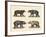 Several Bears Found-null-Framed Giclee Print