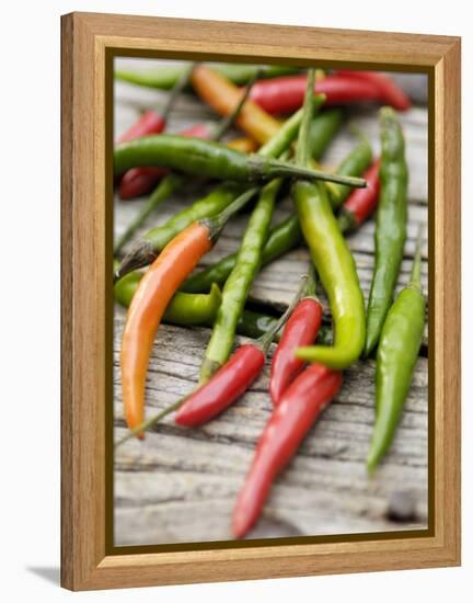 Several Chili Peppers-Winfried Heinze-Framed Premier Image Canvas