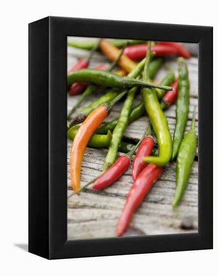 Several Chili Peppers-Winfried Heinze-Framed Premier Image Canvas