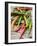 Several Chili Peppers-Winfried Heinze-Framed Photographic Print