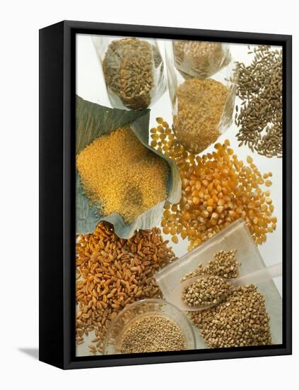 Several Different Types of Cereal-Eising Studio Food Photo and Video-Framed Premier Image Canvas