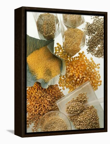 Several Different Types of Cereal-Eising Studio Food Photo and Video-Framed Premier Image Canvas