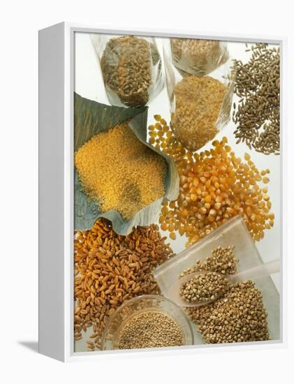Several Different Types of Cereal-Eising Studio Food Photo and Video-Framed Premier Image Canvas
