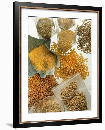 Several Different Types of Cereal-Eising Studio Food Photo and Video-Framed Photographic Print