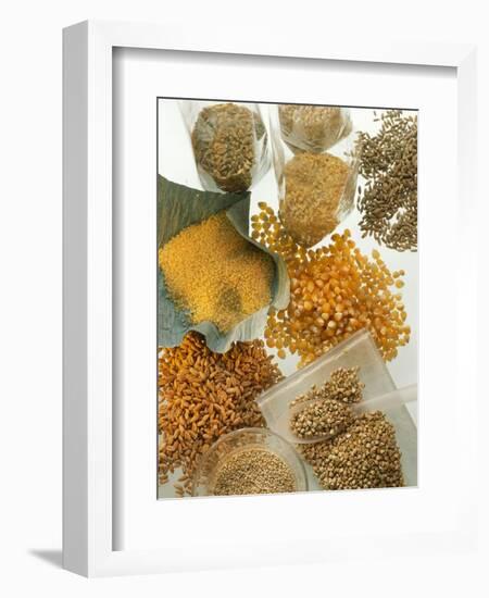 Several Different Types of Cereal-Eising Studio Food Photo and Video-Framed Photographic Print