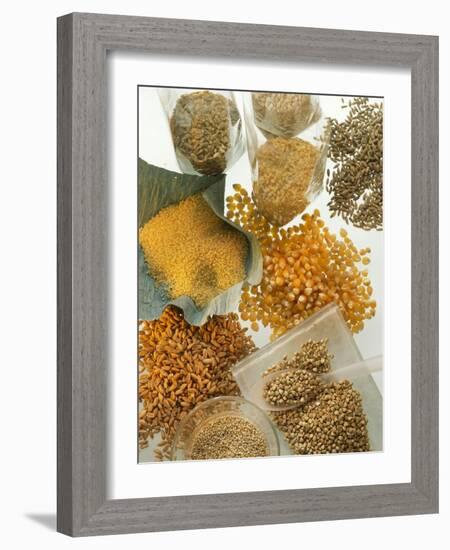 Several Different Types of Cereal-Eising Studio Food Photo and Video-Framed Photographic Print