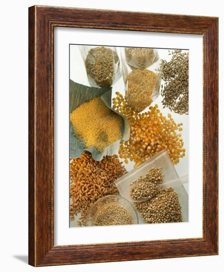 Several Different Types of Cereal-Eising Studio Food Photo and Video-Framed Photographic Print