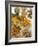 Several Different Types of Cereal-Eising Studio Food Photo and Video-Framed Photographic Print