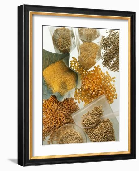 Several Different Types of Cereal-Eising Studio Food Photo and Video-Framed Photographic Print