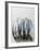 Several Fresh Anchovies-null-Framed Photographic Print