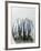 Several Fresh Anchovies-null-Framed Photographic Print