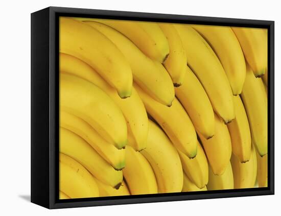 Several Fresh Bananas-Eising Studio - Food Photo and Video-Framed Premier Image Canvas