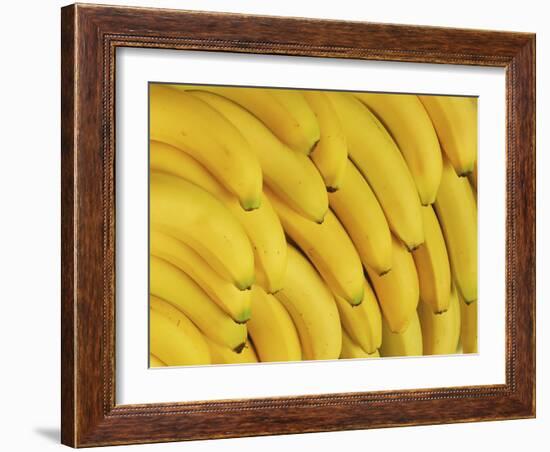 Several Fresh Bananas-Eising Studio - Food Photo and Video-Framed Photographic Print